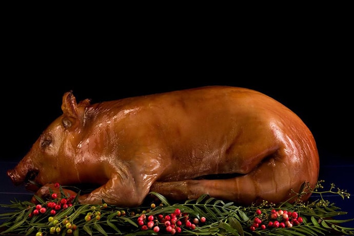 13693_suckling_pig2