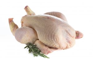pro_chicken_Medium